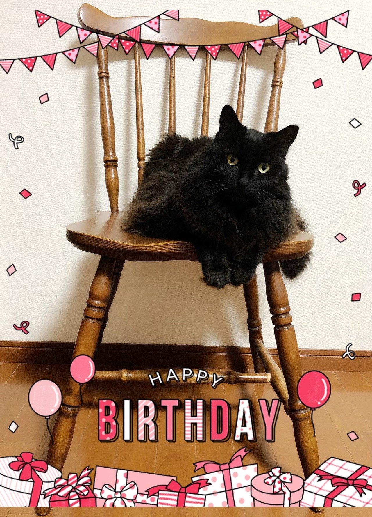 ナイトさん お誕生日おめでとう 星マリア 占い界の傾奇者 Note ナイトさん お誕生日おめでとう 星マリア 占い界の傾奇者 Note