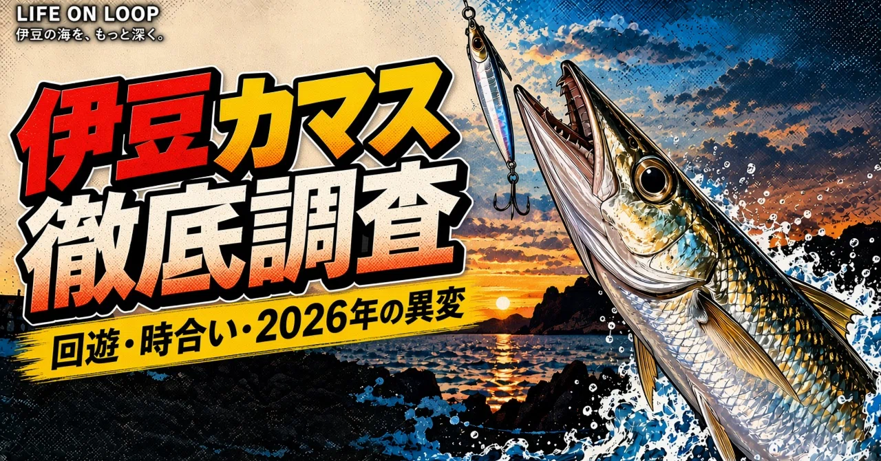 Izu Barracuda Fishing Thorough Investigation | Analyzing Migrations ...