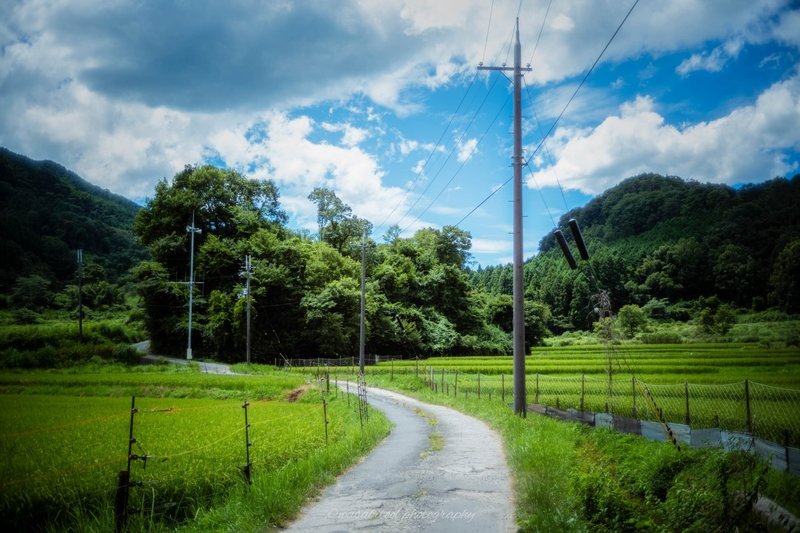 完璧写真を求めなくなった話 Wasabitool Note