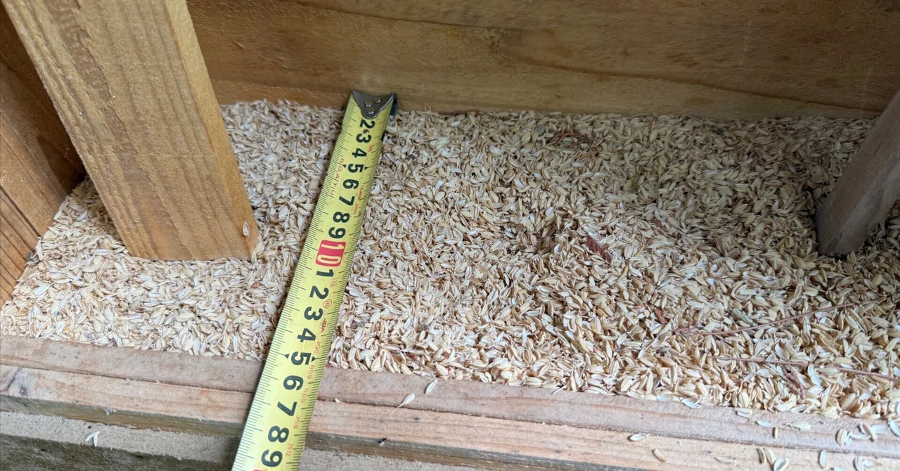 Husjs Rice Husks: The Ultimate Locally Sourced Insulation|Tono Mirai