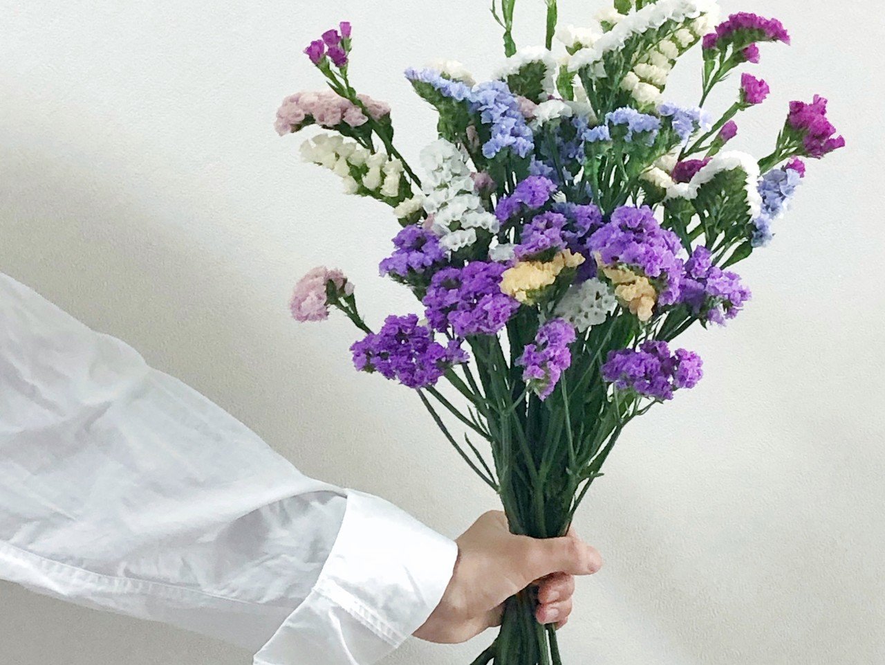 Hanaike図鑑 3 スターチス Hanaike はないけ Note Hanaike図鑑 3 スターチス Hanaike はないけ Note