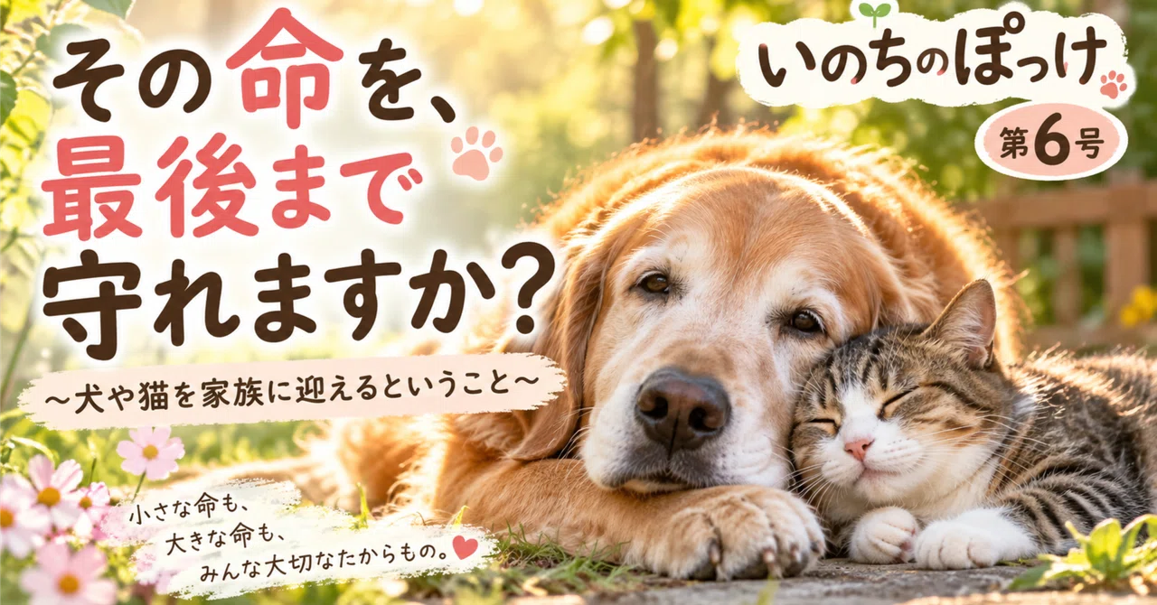 Issue No. 6: Can you protect that life until the very end? 🐱🐶💖｜いのちのぽっけ