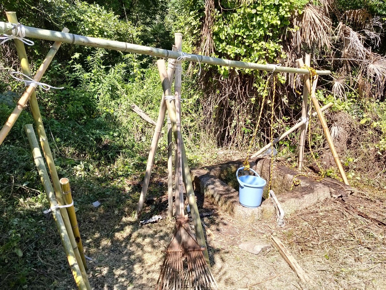 2b84caded45c0e6e24066a6ccee5ee