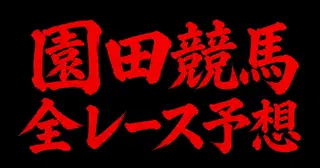 2026 10/29 園田競馬 全レース予想
