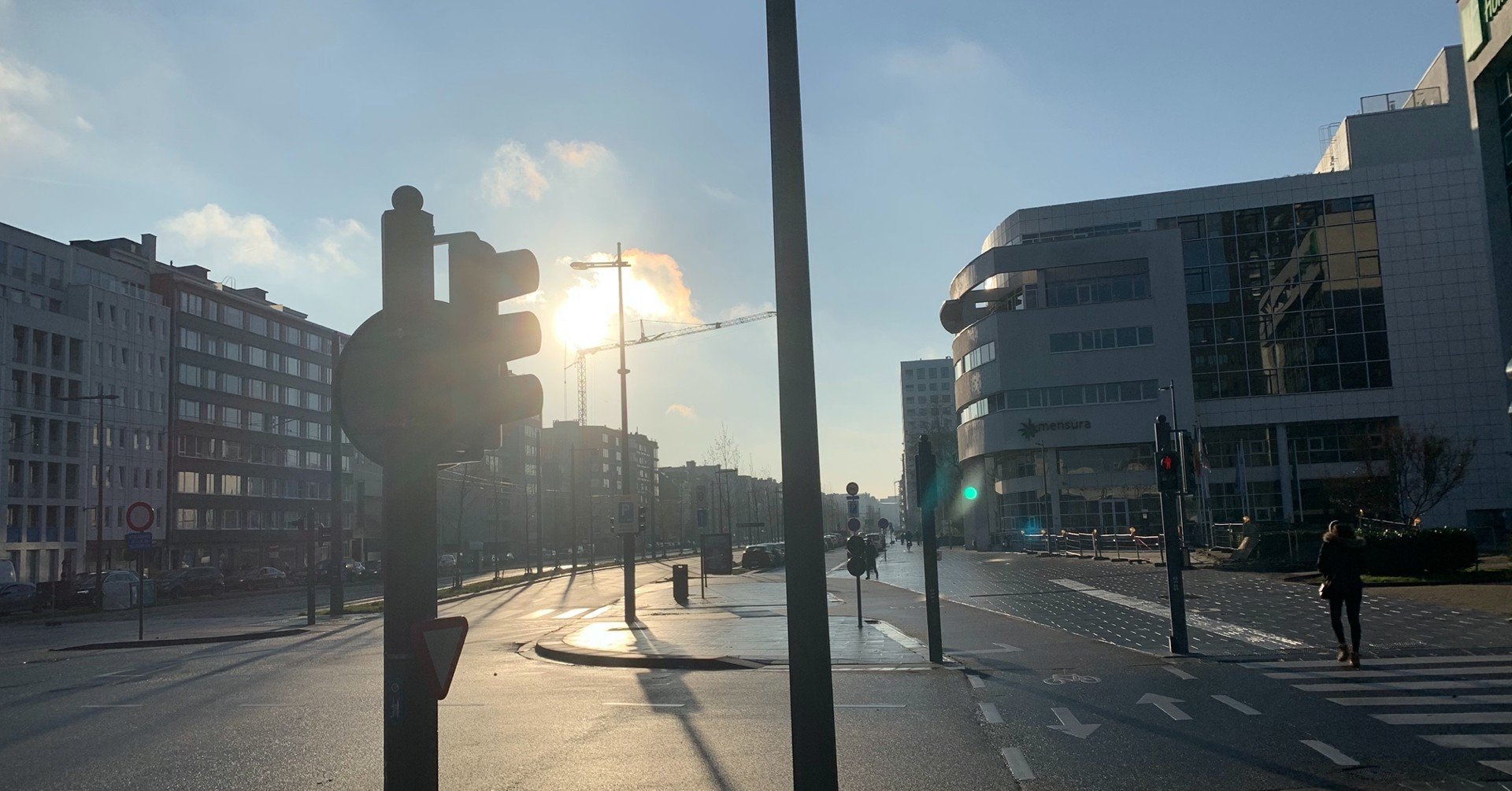 映画 やってはいけない第三の選択肢 アグネスと幸せのパズル らいまる Note