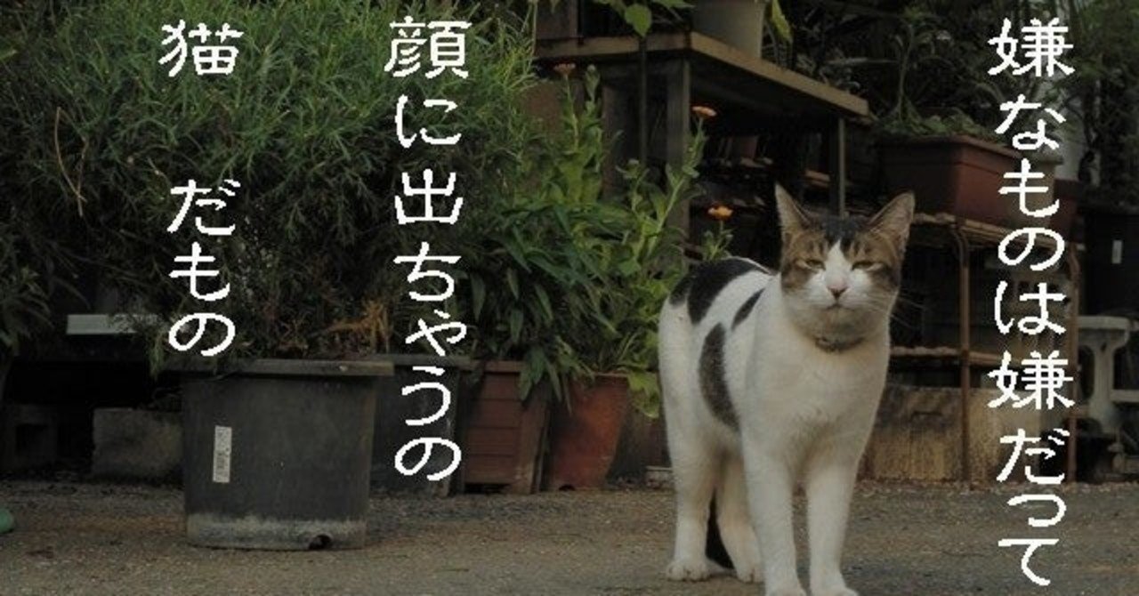 Begrudgingly しぶしぶ 雀巽 じゃくそん Note
