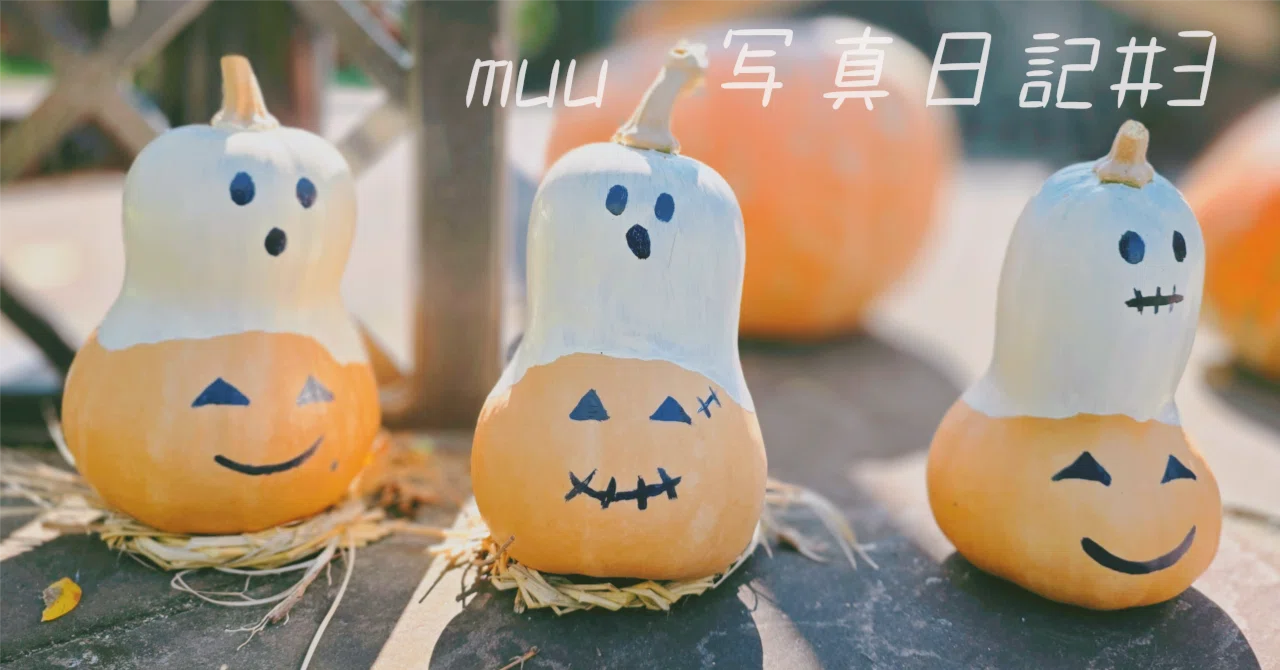 The autumn garden is Halloween-colored. | Photo Diary｜muu
