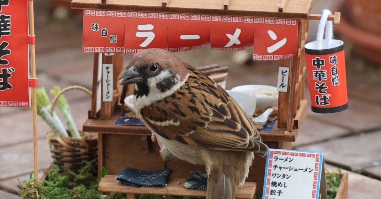 Seeds of a Worldview - The Regular Customer at the Ramen Stall｜Sparrow ...