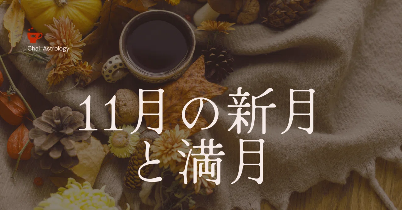Moon B New Moon and Full Moon in November|アメリカ在住の星とタロットを読む、アストロタロット鑑定師ナット