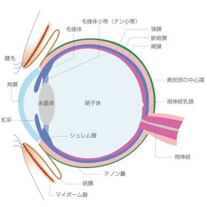 画像16