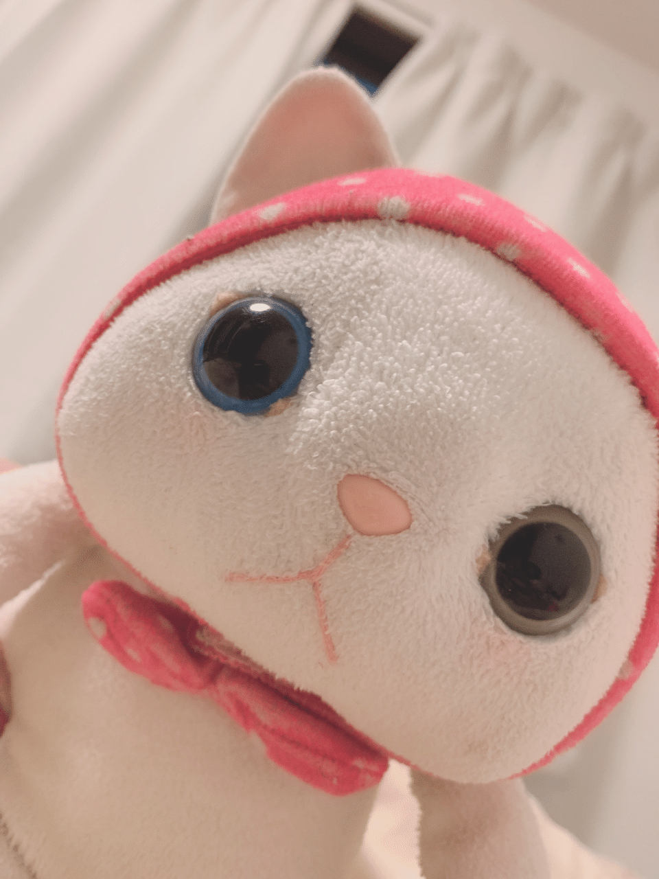 23歳 ぬいぐるみが一番のお友達 あいな まるやま Note 23歳 ぬいぐるみが一番のお友達 あいな まるやま Note