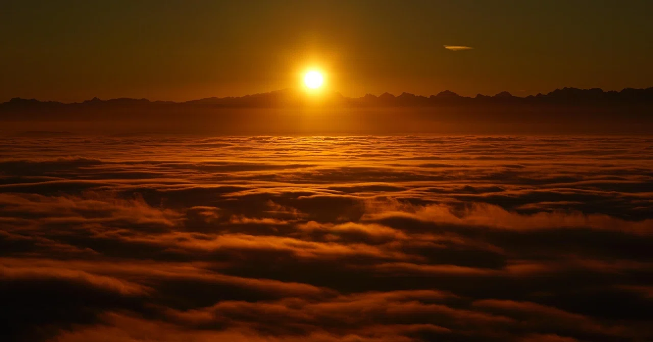 Series: The Landscape and Structure of Et Theory 11｜Satori