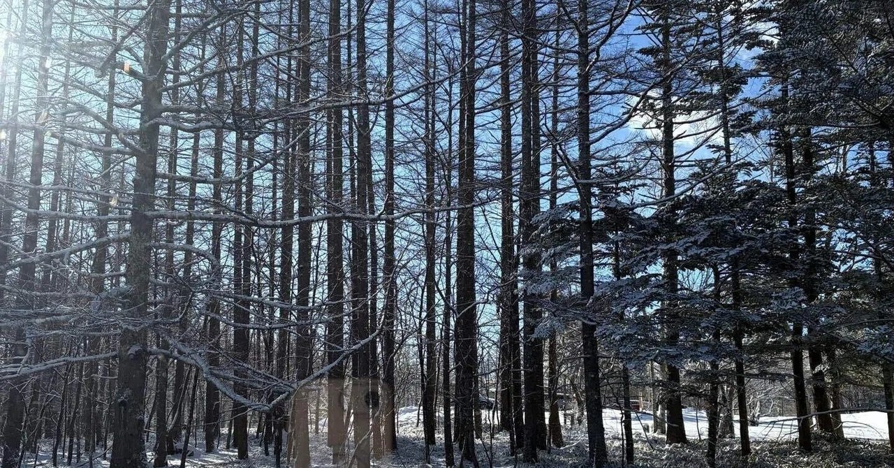 It has suddenly turned cold. From summer to winter, isn't it?｜maruwa