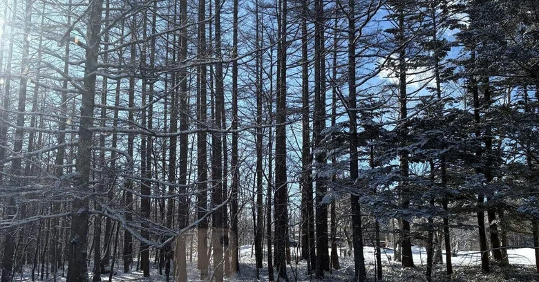 It has suddenly turned cold. From summer to winter, isn't it?｜maruwa
