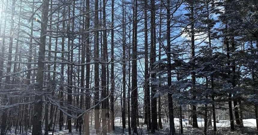It has suddenly turned cold. From summer to winter, isn't it?｜maruwa