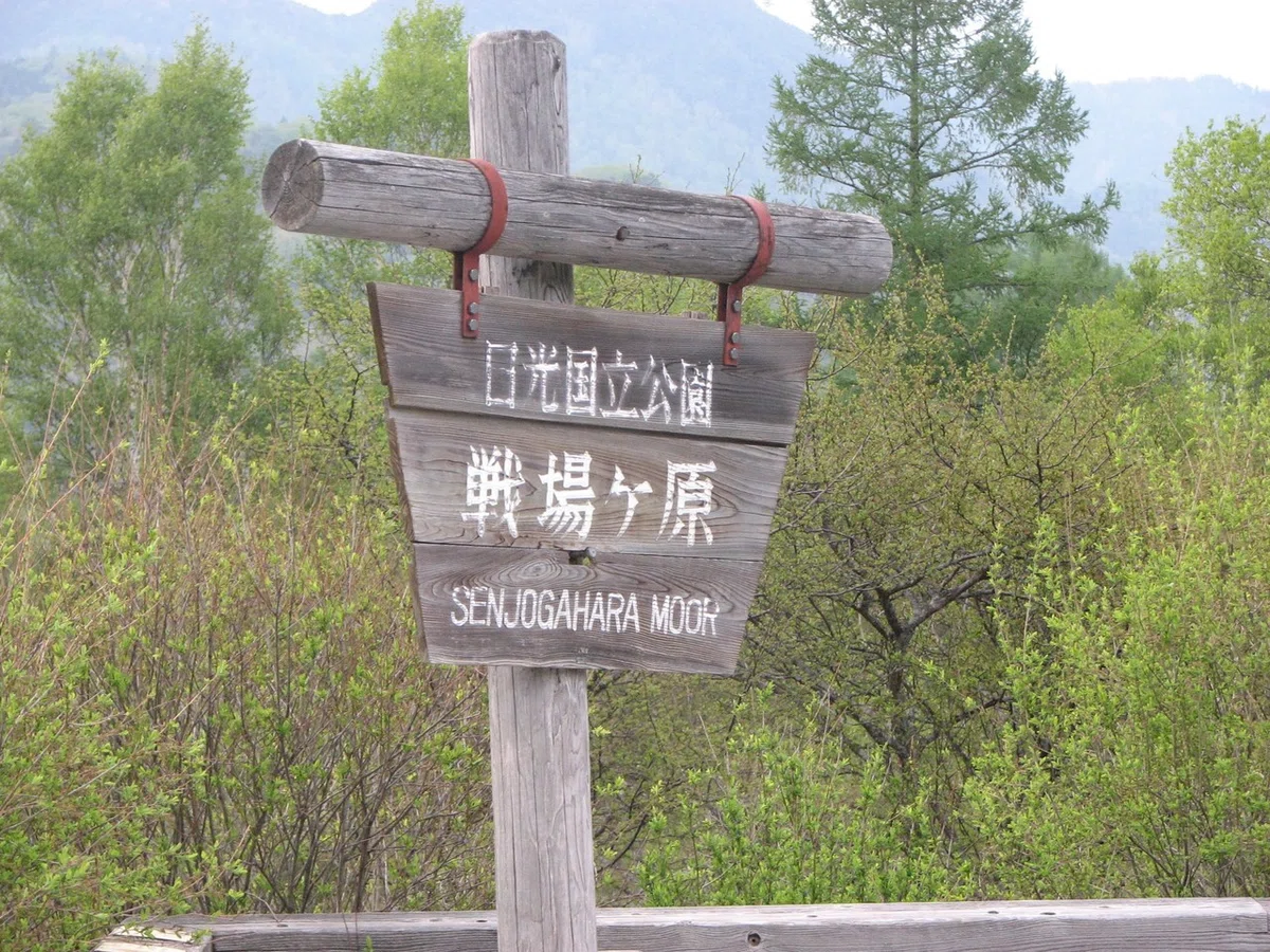 画像674