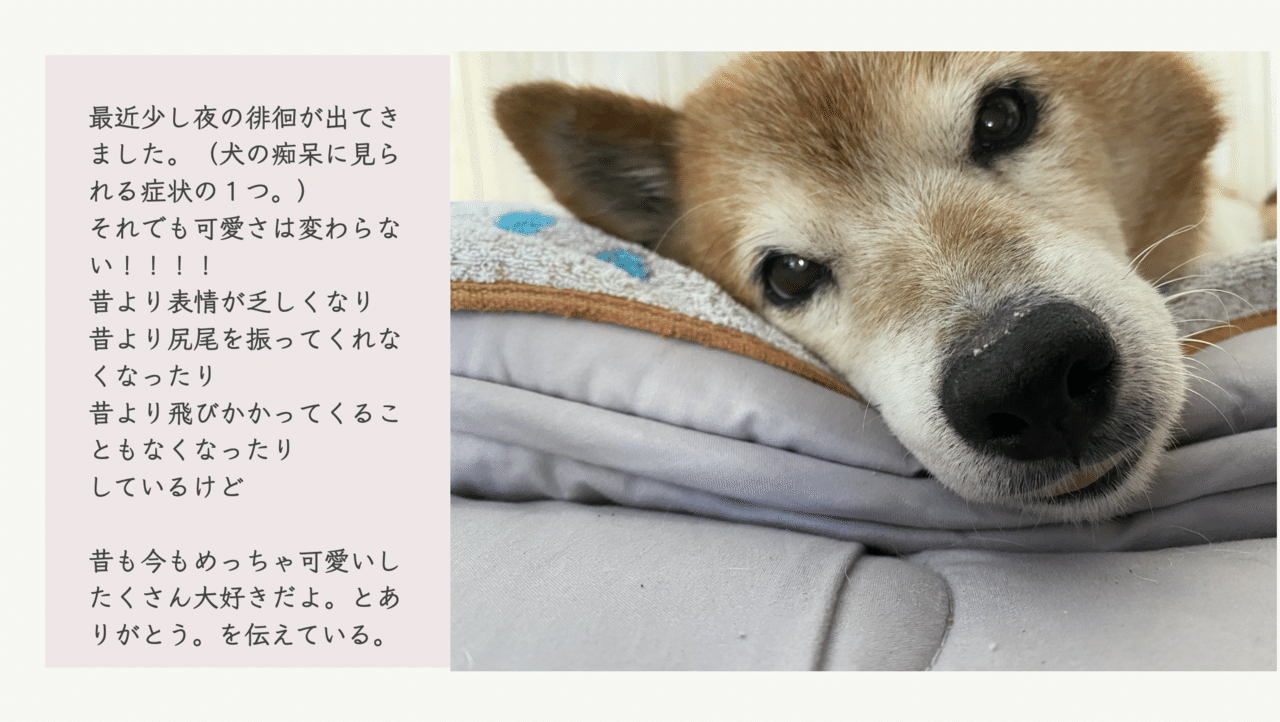 Vol 35 夏野菜のタネ取りをする 予習編 ころの庭 ー自然菜園とハーブとアロマー Note Vol 35 夏野菜のタネ取りをする 予習編 ころの庭 ー自然菜園とハーブとアロマー Note