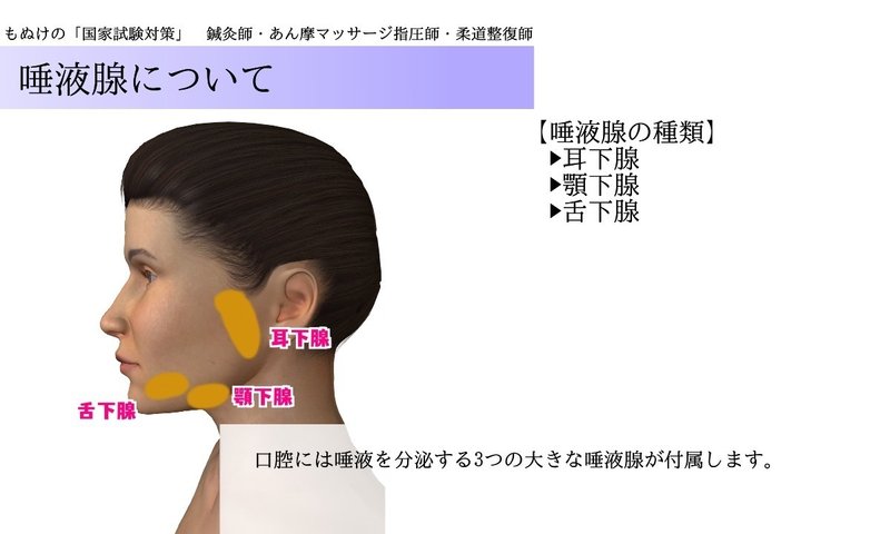 解剖学 図解イラストとゴロで簡単 唾液腺 の覚え方 ー耳下腺 舌下腺 顎下腺ー 森元塾 国家試験対策 Note 解剖学 図解イラストとゴロで簡単 唾液腺 の覚え方 ー耳下腺 舌下腺 顎下腺ー 森元塾 国家試験対策 Note