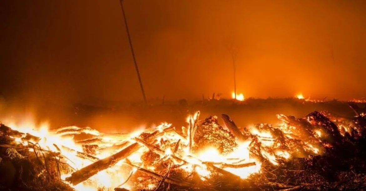While searching for the culprit, the fire spreads—Reflections on human ...