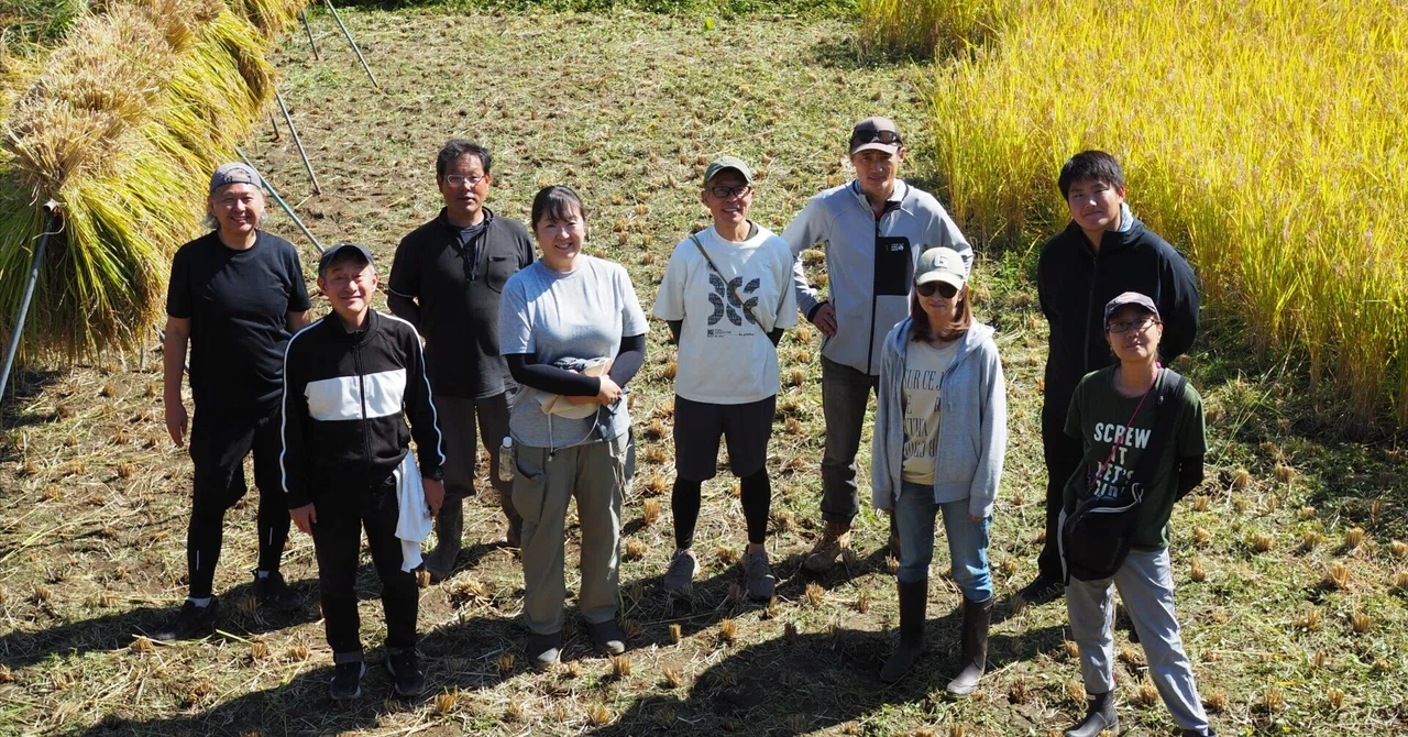 [BELAY FARM] 10/18 (Sun) Rice Harvesting Experience Report for BELAY's ...