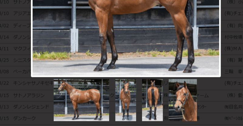 セリ市の上場馬写真が充実 貴重な学ぶ場の１つ 一口馬主マスターb Note