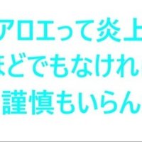 ポケモン 初代 今更初代ポケモン 赤緑青 の攻略を書いてみる そうえん Note