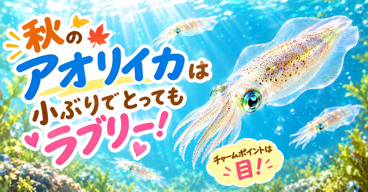 Autumn bigfin reef squid are small and very lovely! Their charm point ...