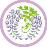 wisteria