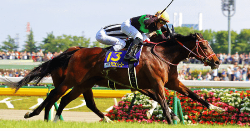 趣味 バヌーシーで1口馬主である私の所有馬紹介 通算配当金も公開します 年8月21日時点 Take Note 趣味 バヌーシーで1口馬主である私の所有馬紹介 通算配当金も公開します 年8月21日時点 Take Note