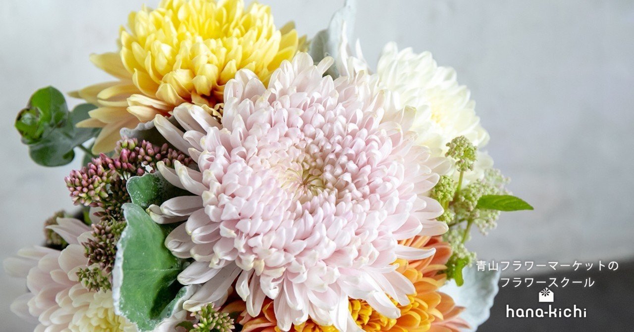 Mum 菊 日本を代表する花 フラワースクール Hana Kichi Note Mum 菊 日本を代表する花 フラワースクール Hana Kichi Note