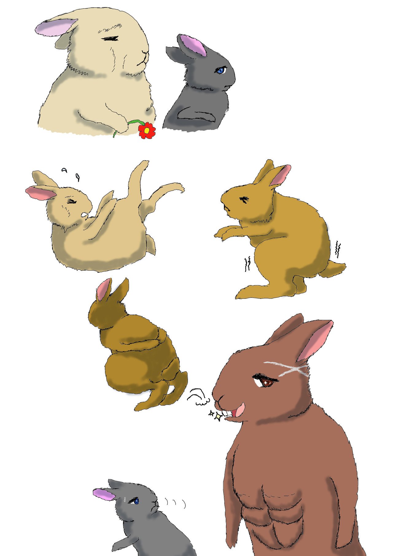 シックスパック クロス刈り込みうさぎの絵三点 Angelrabbits Note