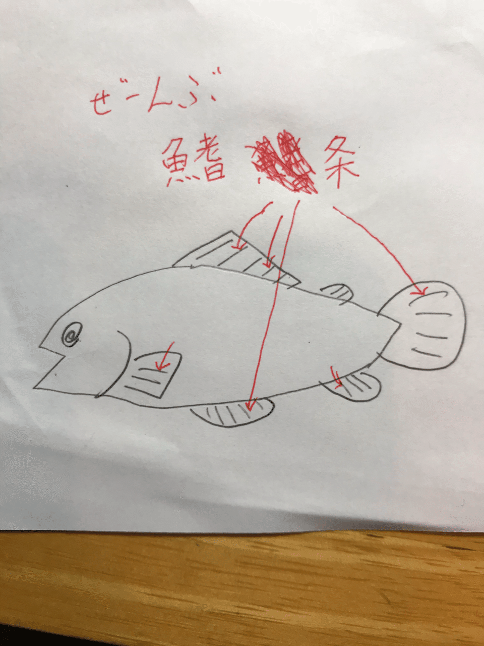 仔魚と稚魚の違い