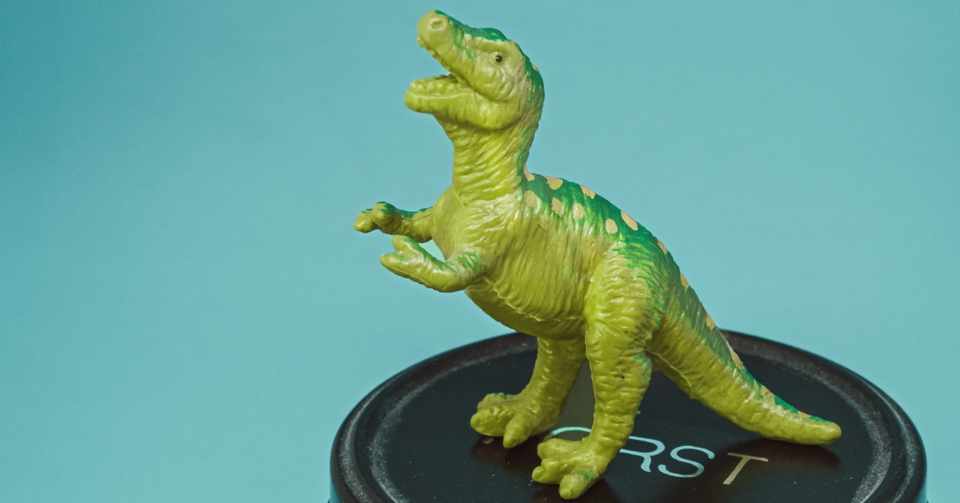 恐竜のぬいぐるみと怪獣とジェンダー くぐはらひろ Note