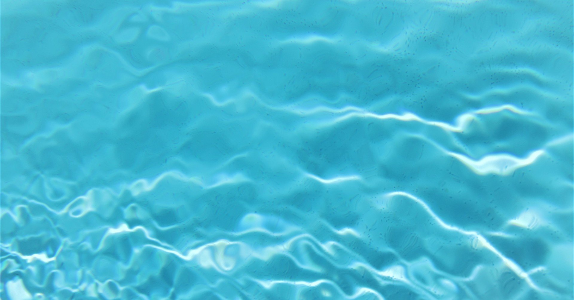 帰省自粛のお盆を終え 流行のピークをすぎた日本に必要なこと 村中璃子 Riko Muranaka Note