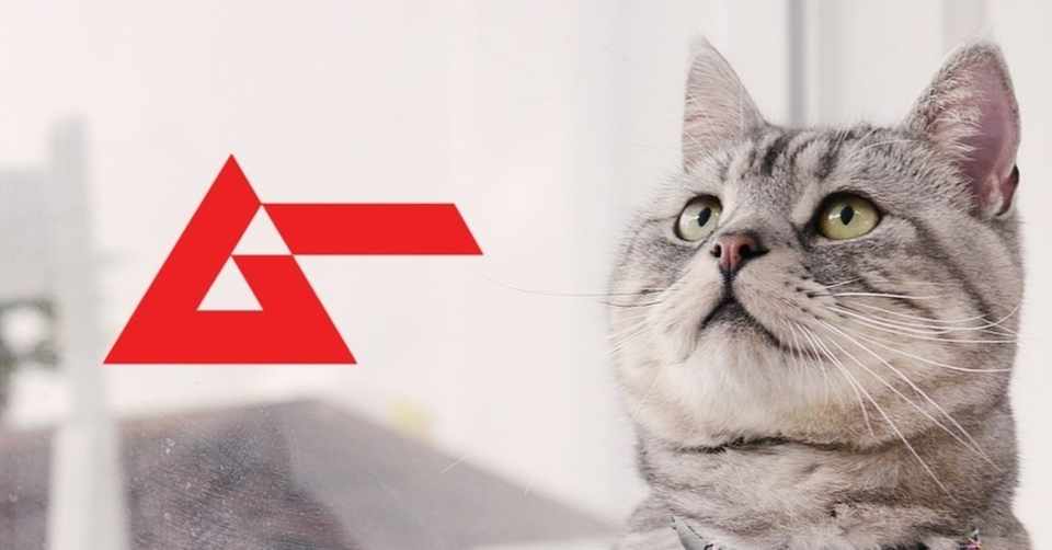 Ufo観の相違 というべき視点と猫とムー ムーplus