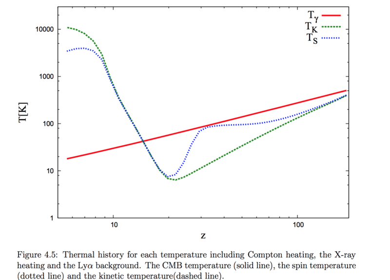 WouthuysenField effect｜云南きのこ老師