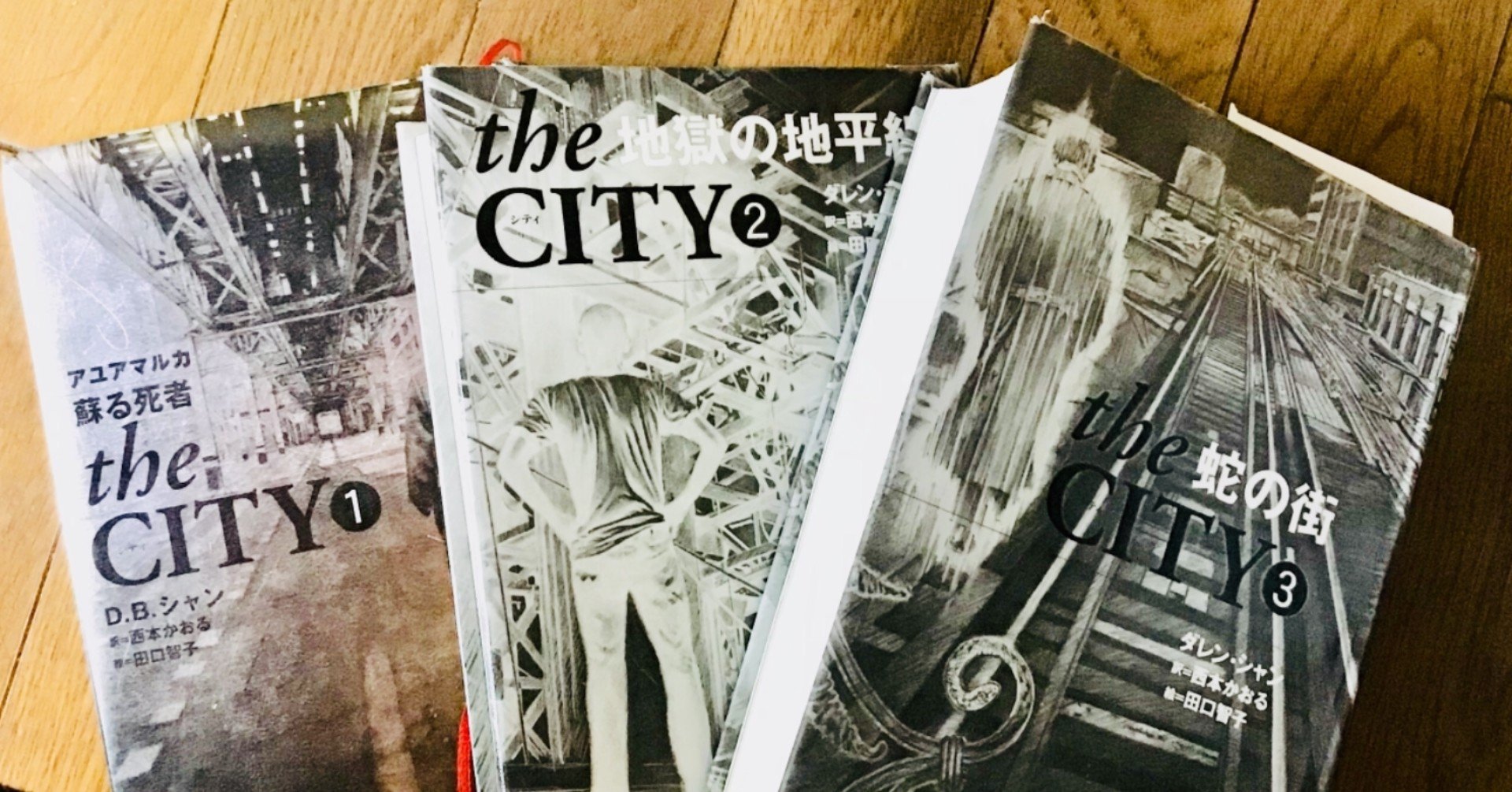 The City アユアマルカ 蘇る死者 D Bシャン 雪峰 Note