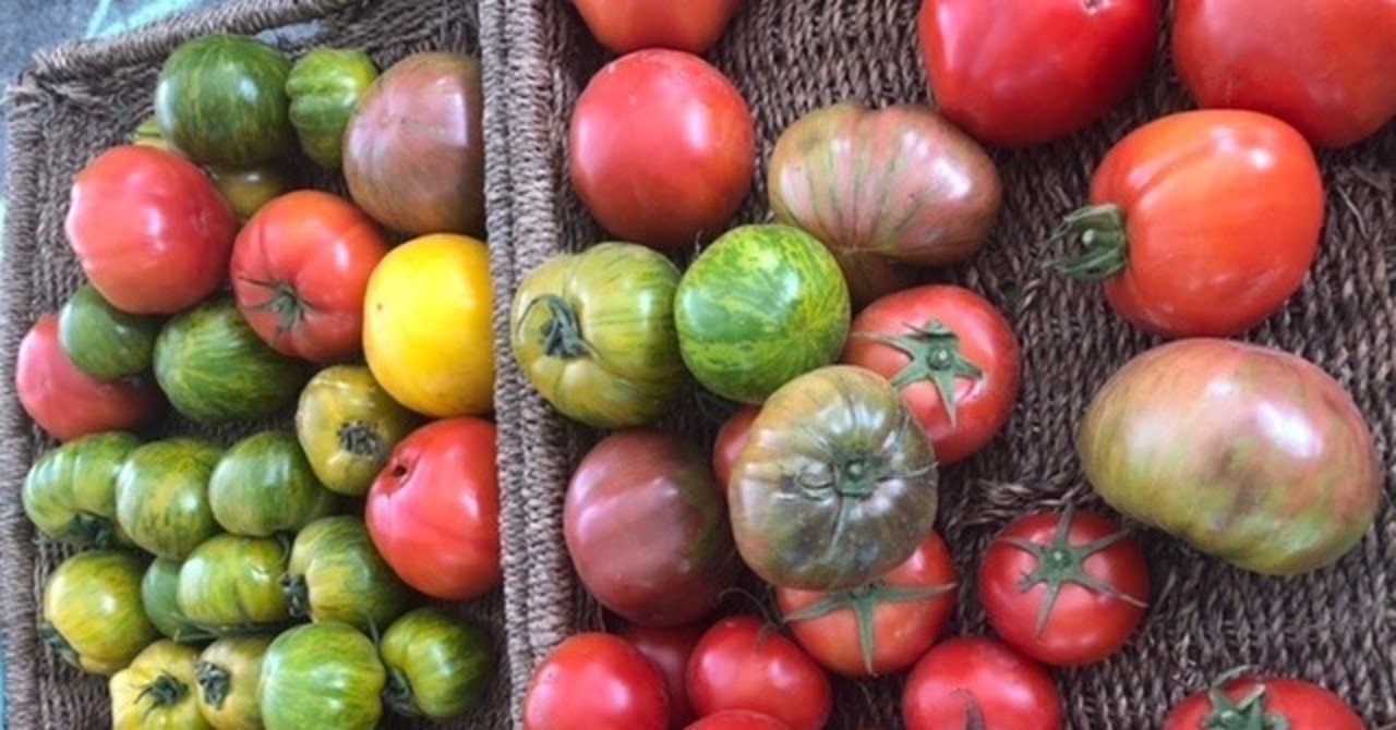 Heirloom Tomato エアールームトマト ブームは 大手タネ会社の農業支配への自然回帰派の反旗 の夢を見つつ 4種の比較試食記を徒然なるままに カナダ発 ホリスティック グルメ 美健楽ベジタリアン の自炊自足ライフ Note