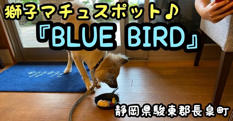 『BLUE BIRD』〜静岡県駿東郡長泉町〜