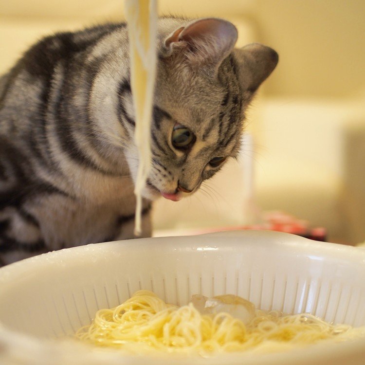 おそうめん…おいしそう。