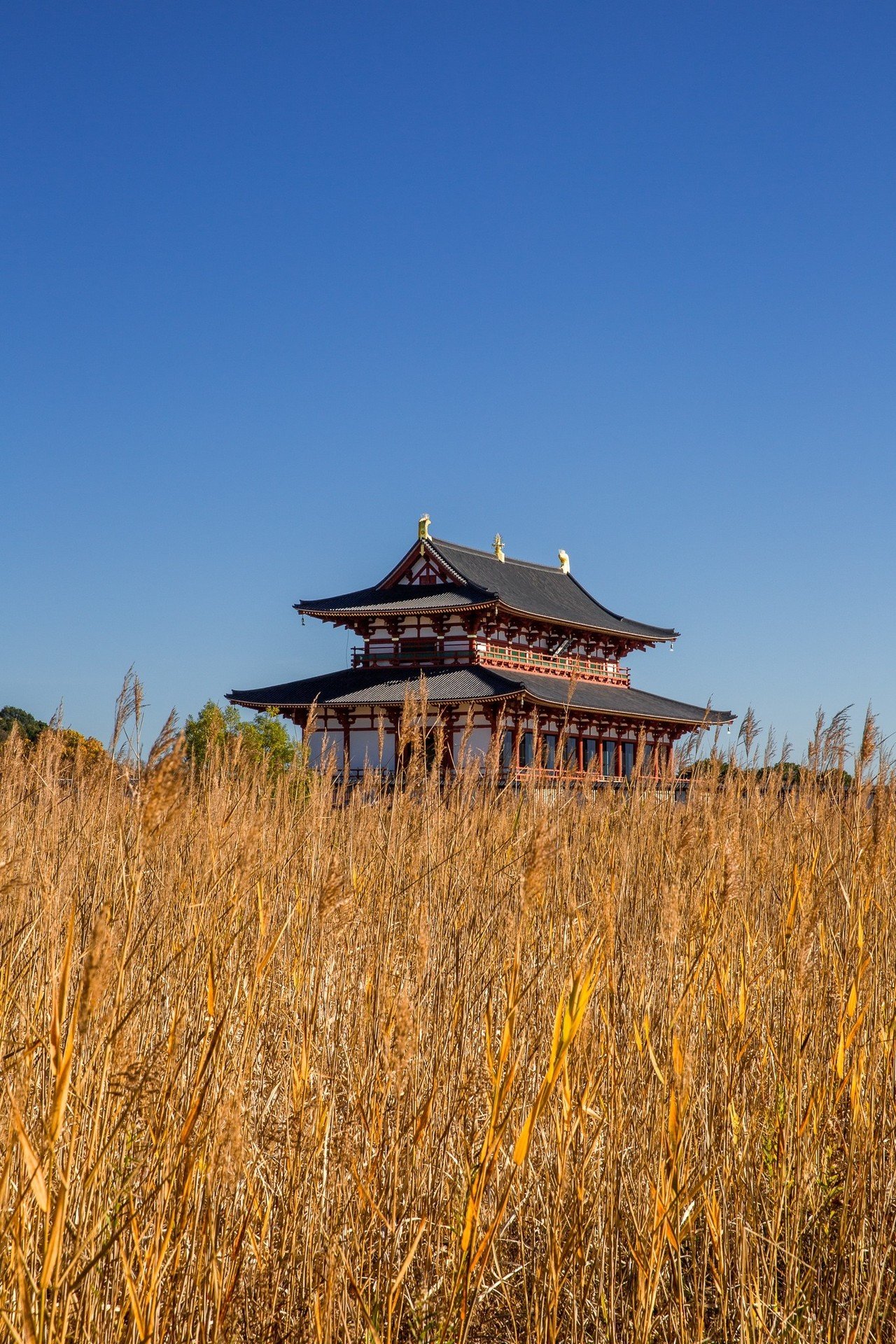 世界遺産の「平城宮跡歴史公園」｜Zenpaku