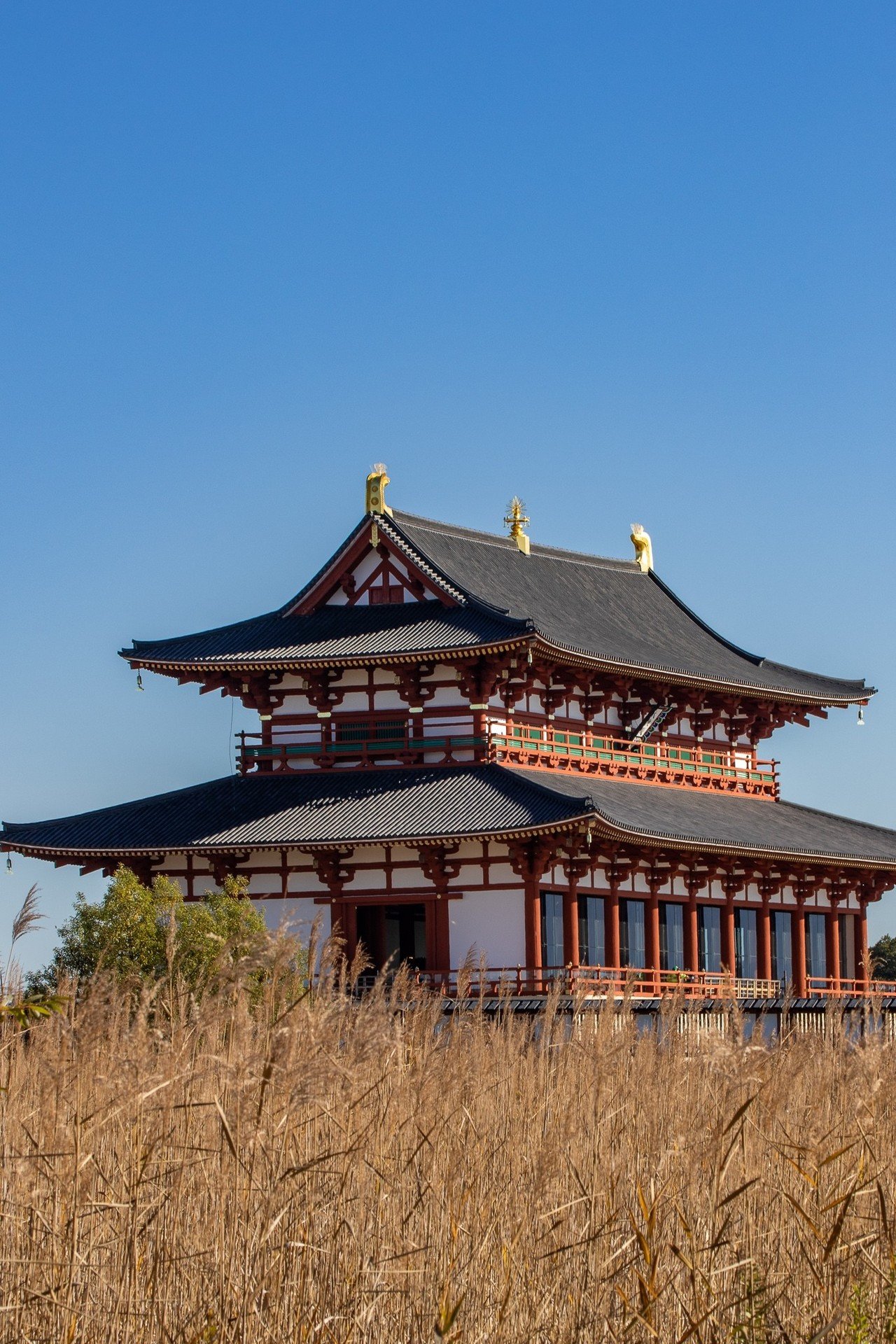 世界遺産の「平城宮跡歴史公園」｜Zenpaku
