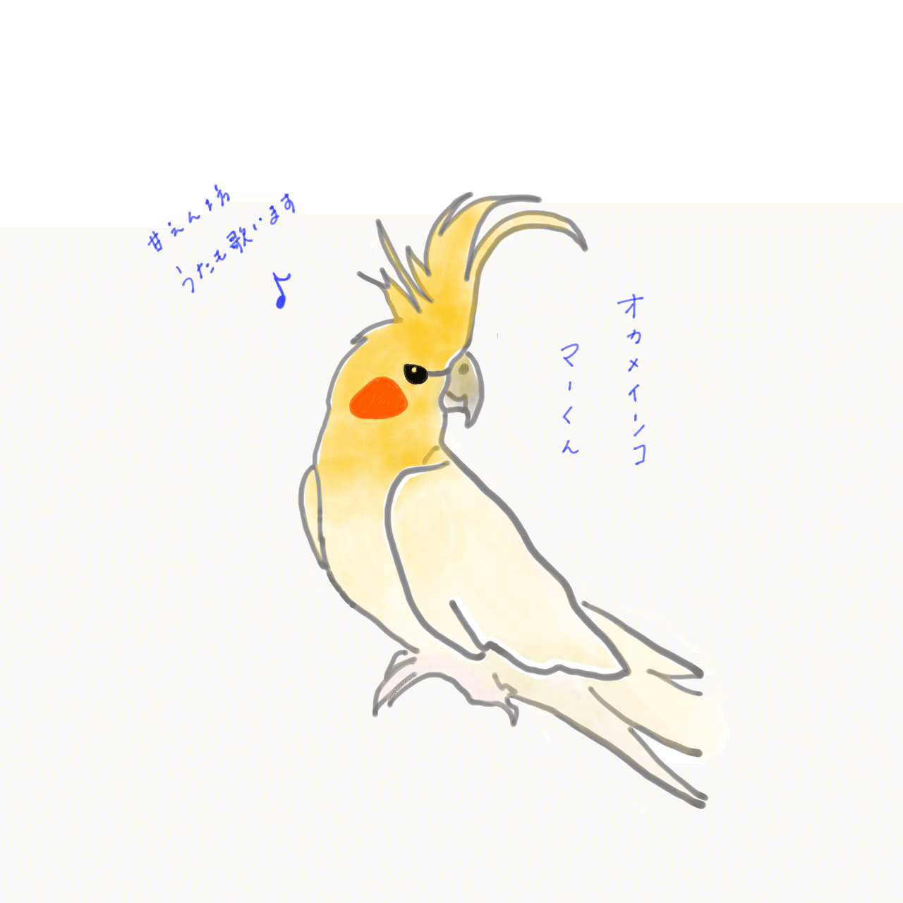 オカメインコとプレゼント Tou Note