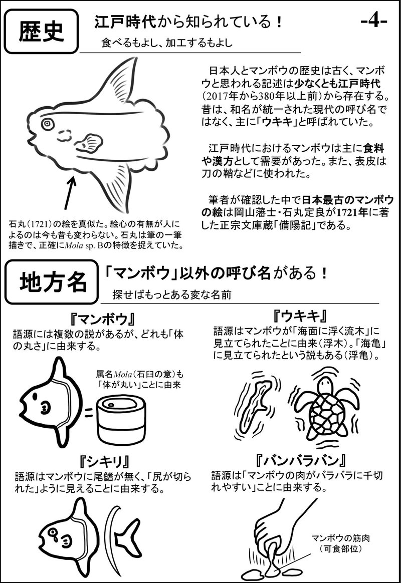 同人誌 水族館でマンボウを見るのが楽しくなるマンボウ初心者のための本 17年 ウシマンボウ博士 Note 同人誌 水族館でマンボウを見るのが楽しくなるマンボウ初心者のための本 17年 ウシマンボウ博士 Note