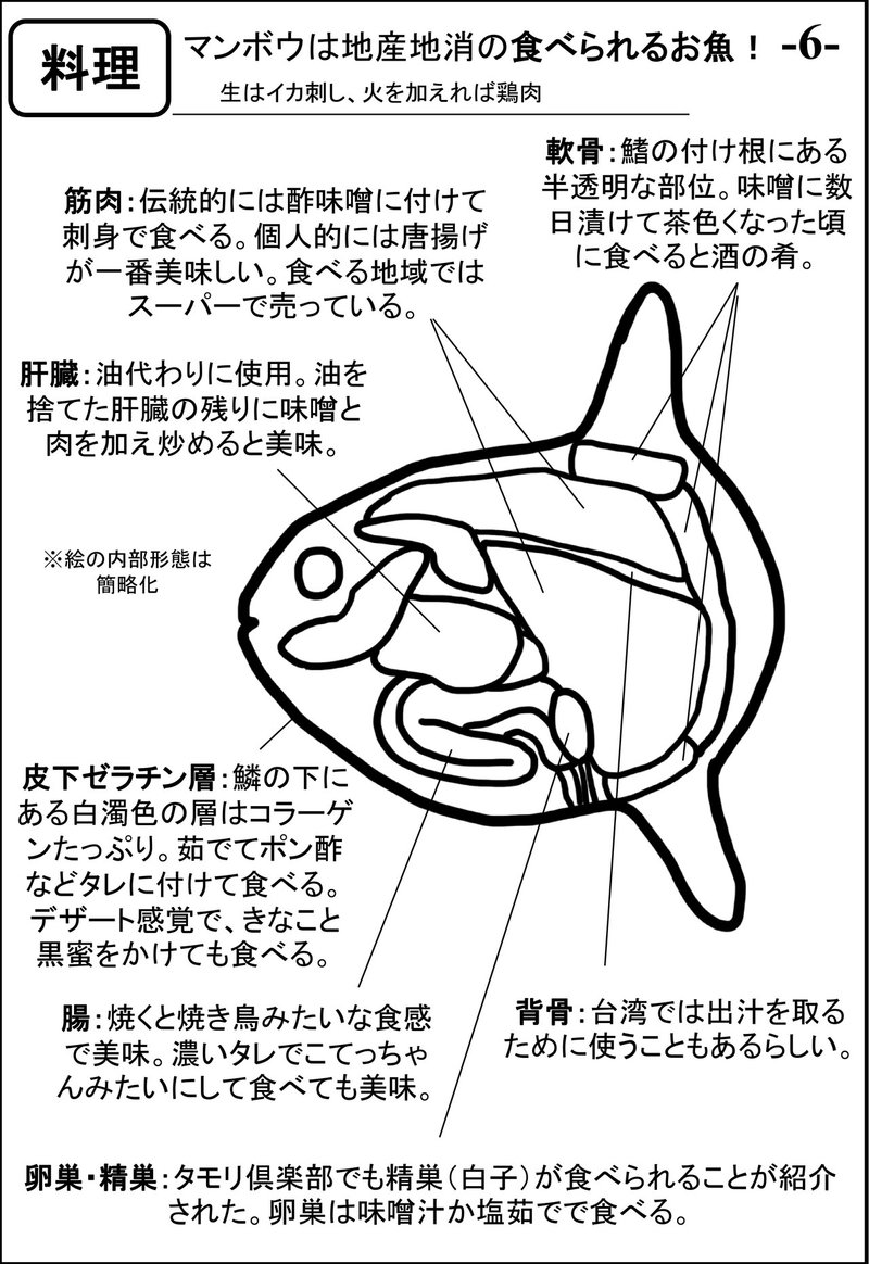 同人誌 水族館でマンボウを見るのが楽しくなるマンボウ初心者のための本 17年 ウシマンボウ博士 Note 同人誌 水族館でマンボウを見るのが楽しくなるマンボウ初心者のための本 17年 ウシマンボウ博士 Note