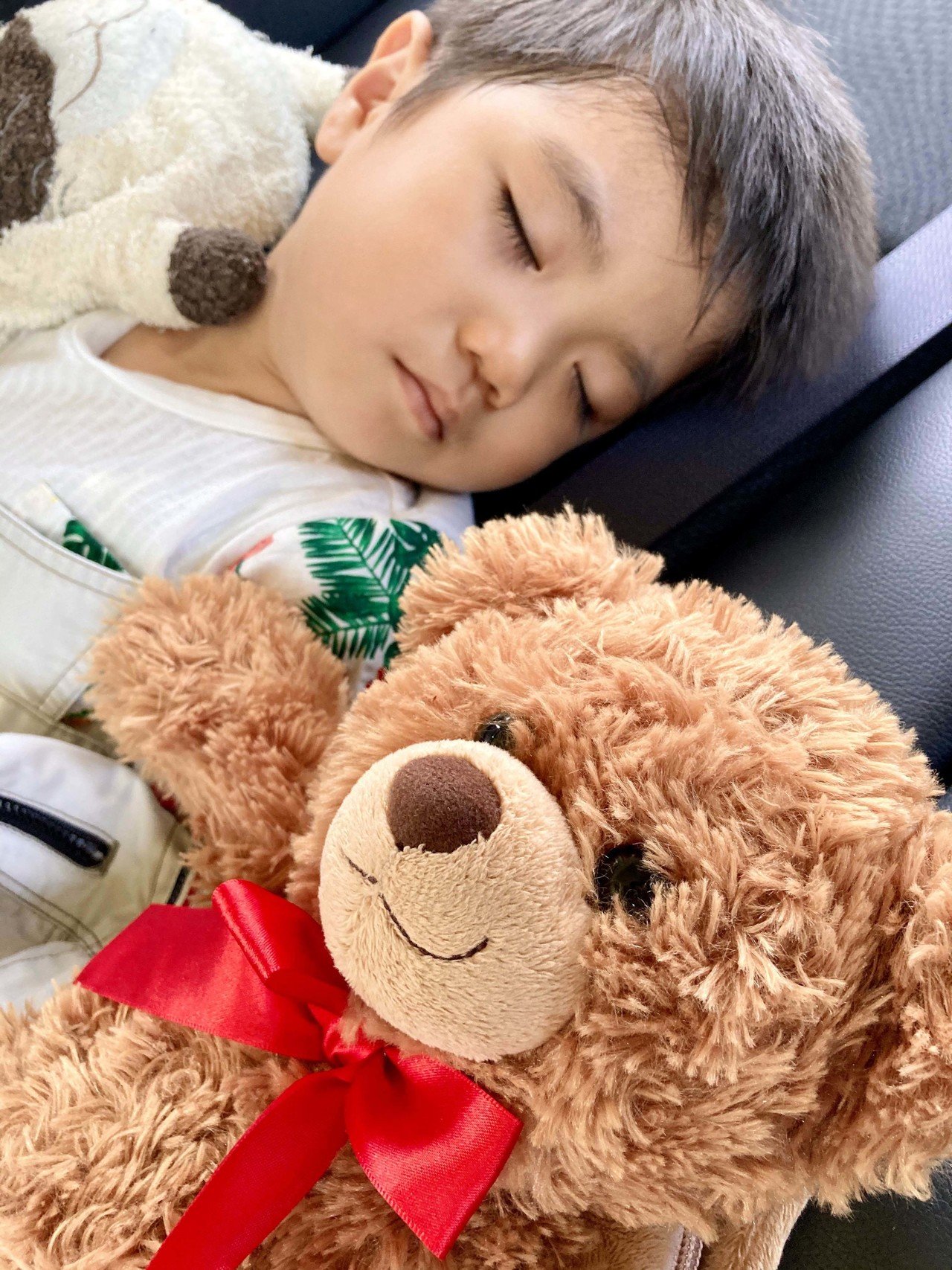 最近 急に一軍入りしてきたクマちゃん 息子の背中を陣どる ねこ オマエ どんな手を使った クマ ふふふ ヒミツ Chiro Naco Note