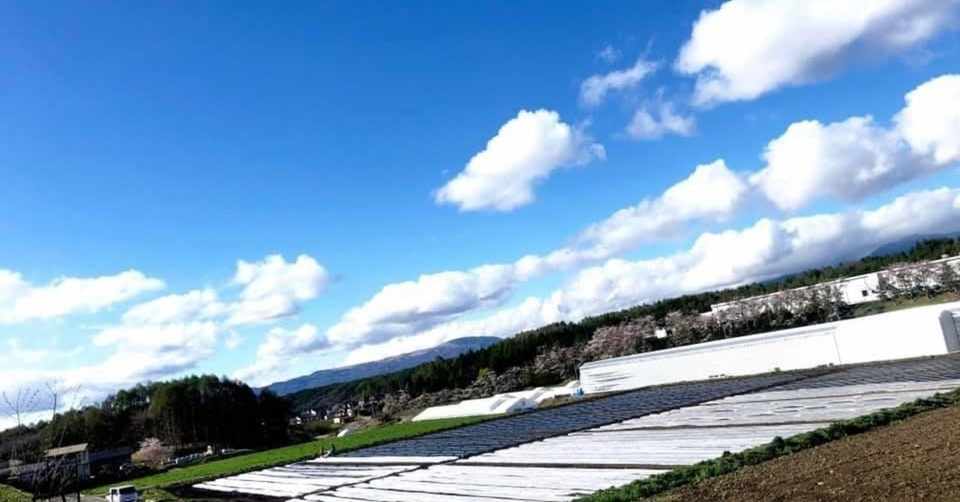 カゴメ野菜生活ファーム富士見 農業体験 Shop カフェ 富士見町 やざき Note