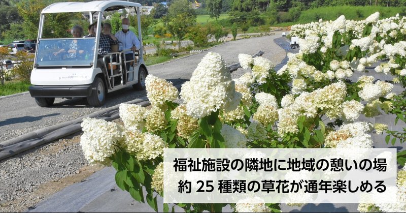 5年かけ私設庭園完成 特養万葉苑 鈴木理事長 一般開放で四季折々の花 石巻days 未来都市の生き方 Note