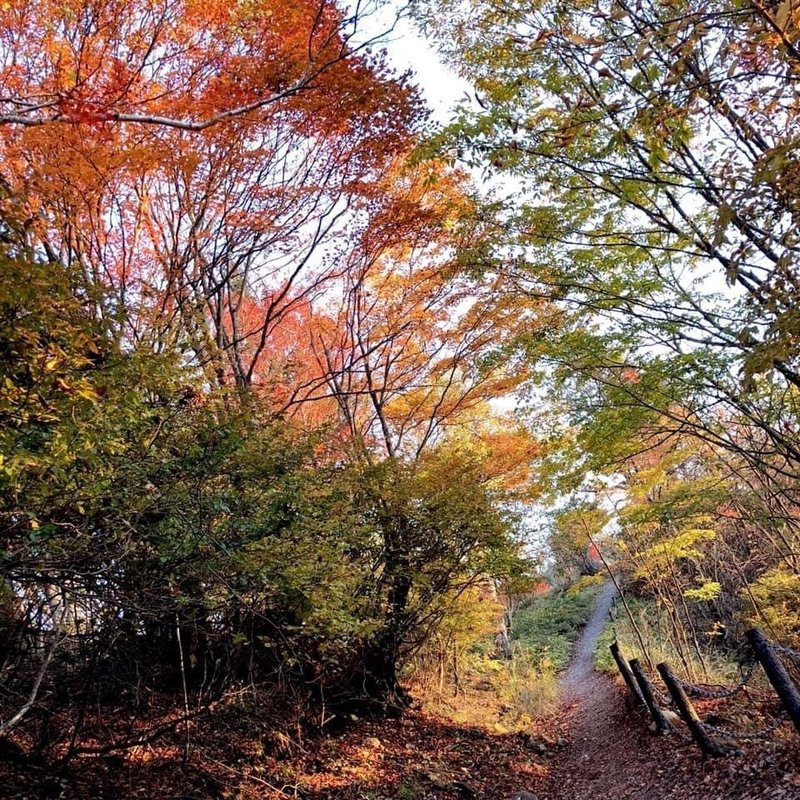 横谷渓谷の紅葉 紅葉の名所 茅野 やざき Note