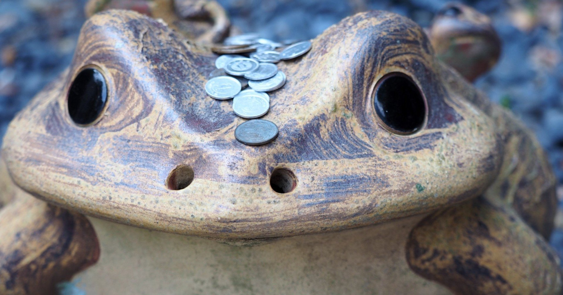 金運アップ〜カエル｜Bun bun（ぶんぶん）